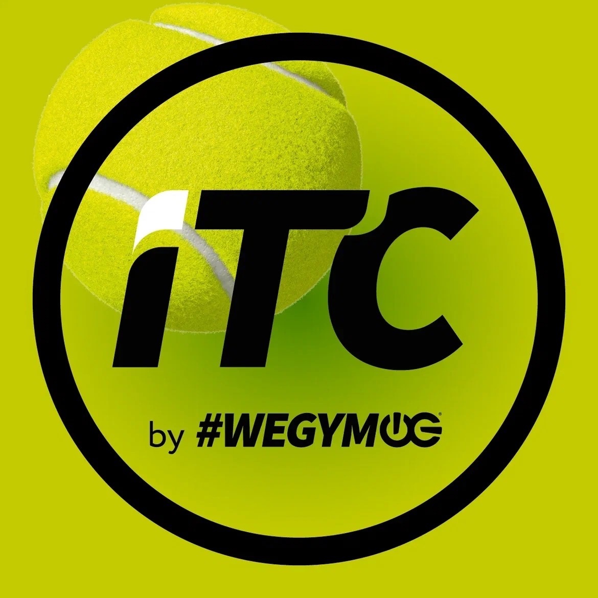 ITC Царицыно